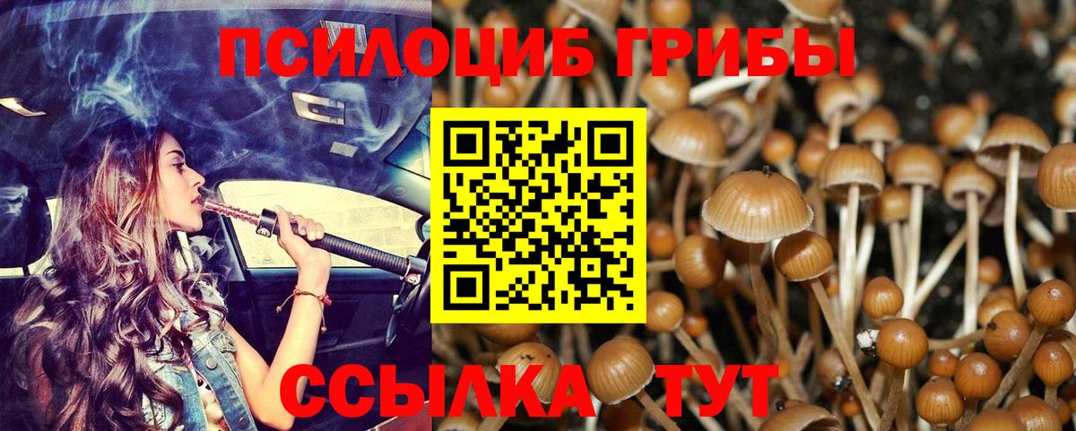 Бахчисарай  Псилоцибиновые грибы Psilocybine cubensis  Вход с VPN 